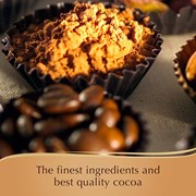 Secondery lindt choco ingrediands.jpg